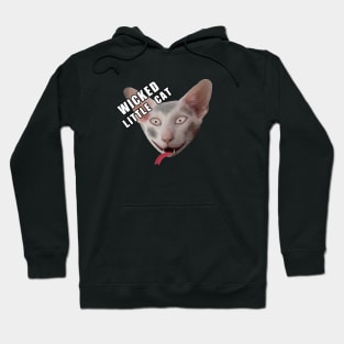 Wicked little cat Hoodie